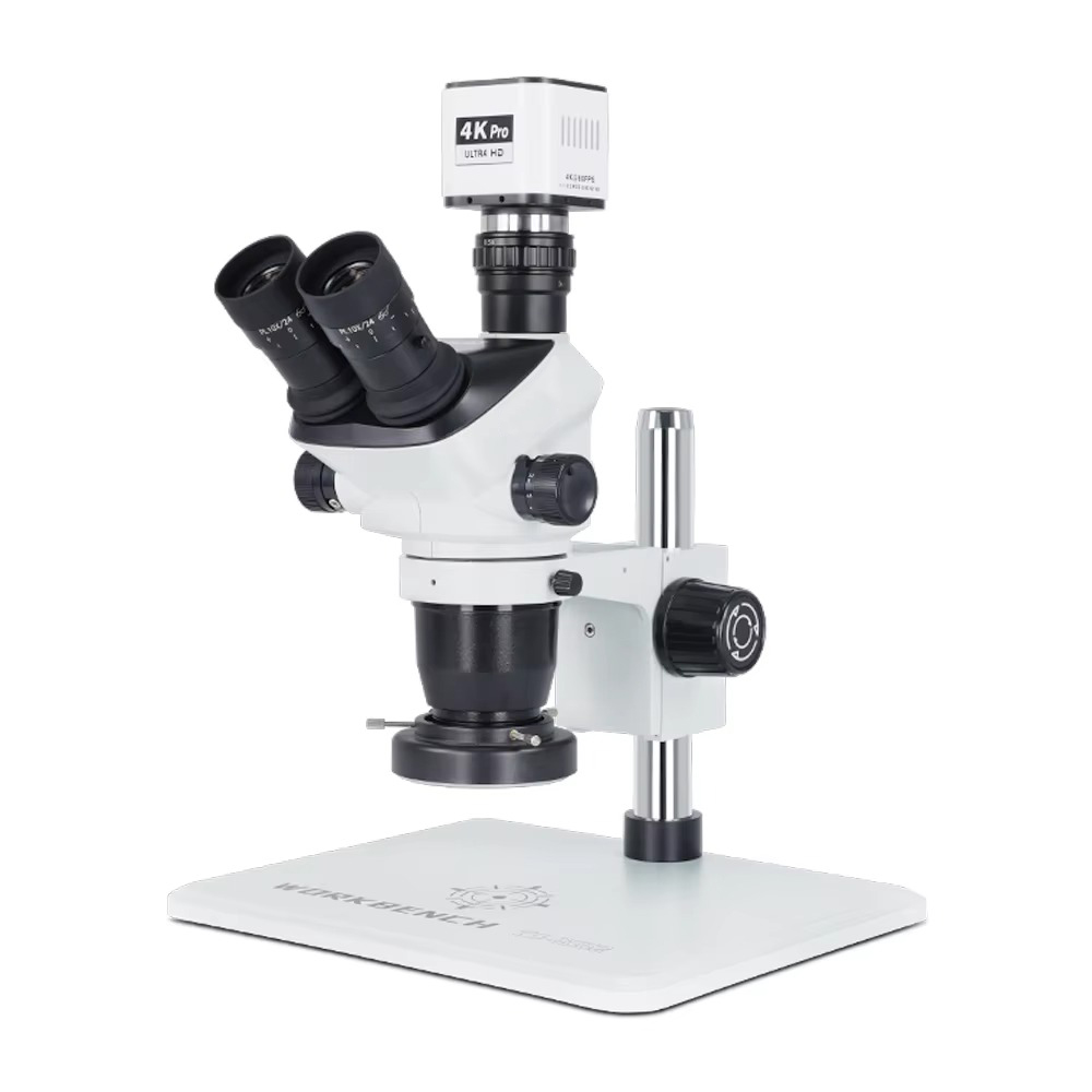 Stereo Microscope